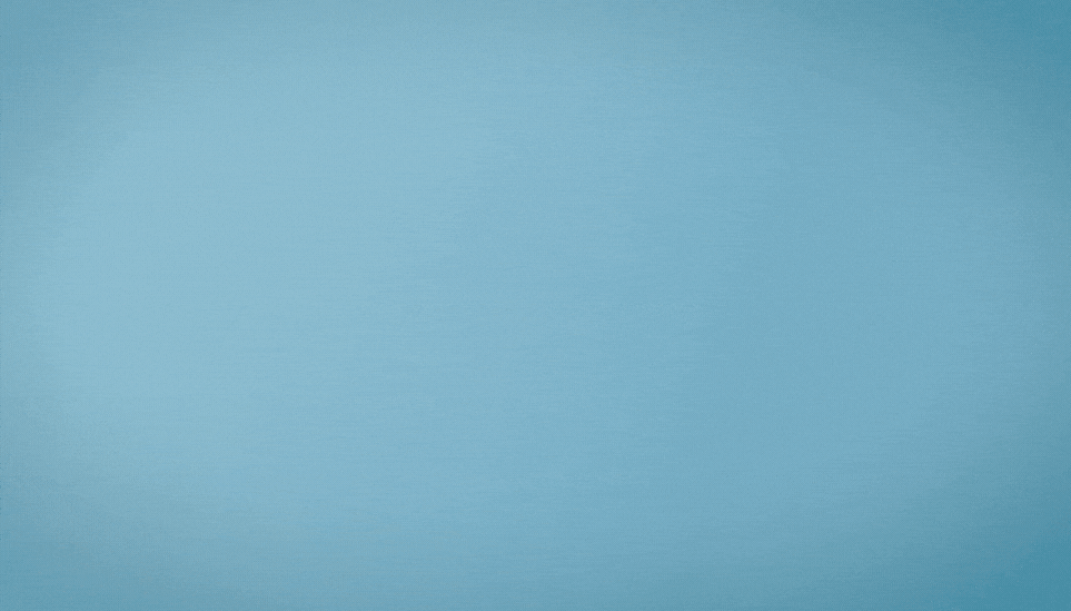 Branding and Identity services by WindflexCreative